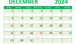 December 2024 Weekly planner Printable D1357